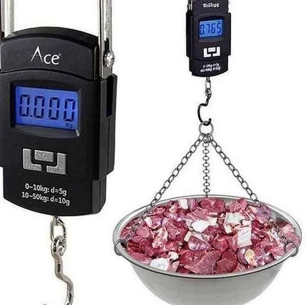 50kg Digital LED Screen Kitchen Scale